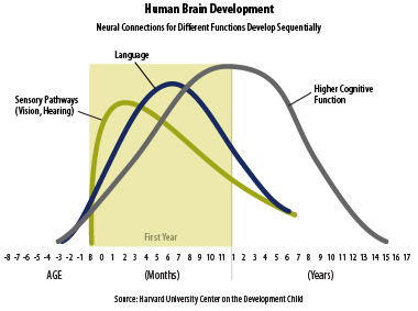 BrainFunctionsSequential