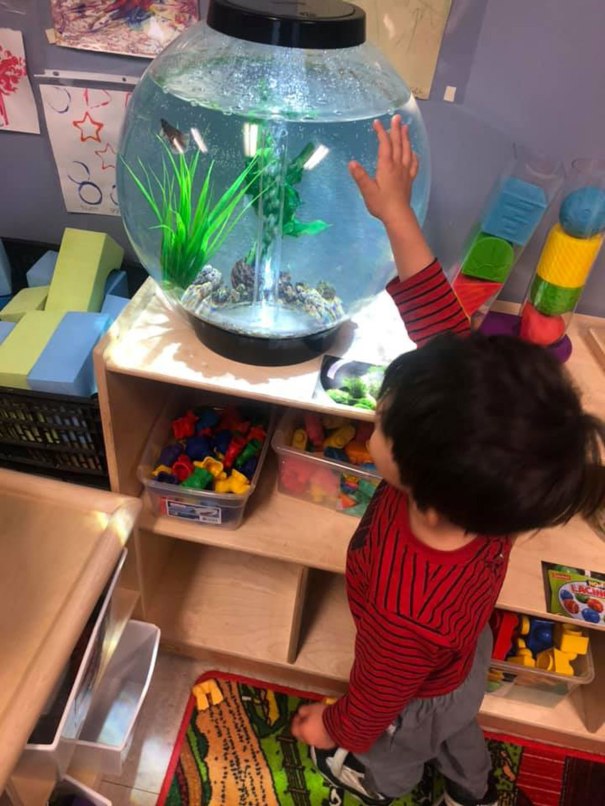 The children at Cherry Creative Corner are creating and playing while Shannon and her staff find ways to adapt to new circumstances.