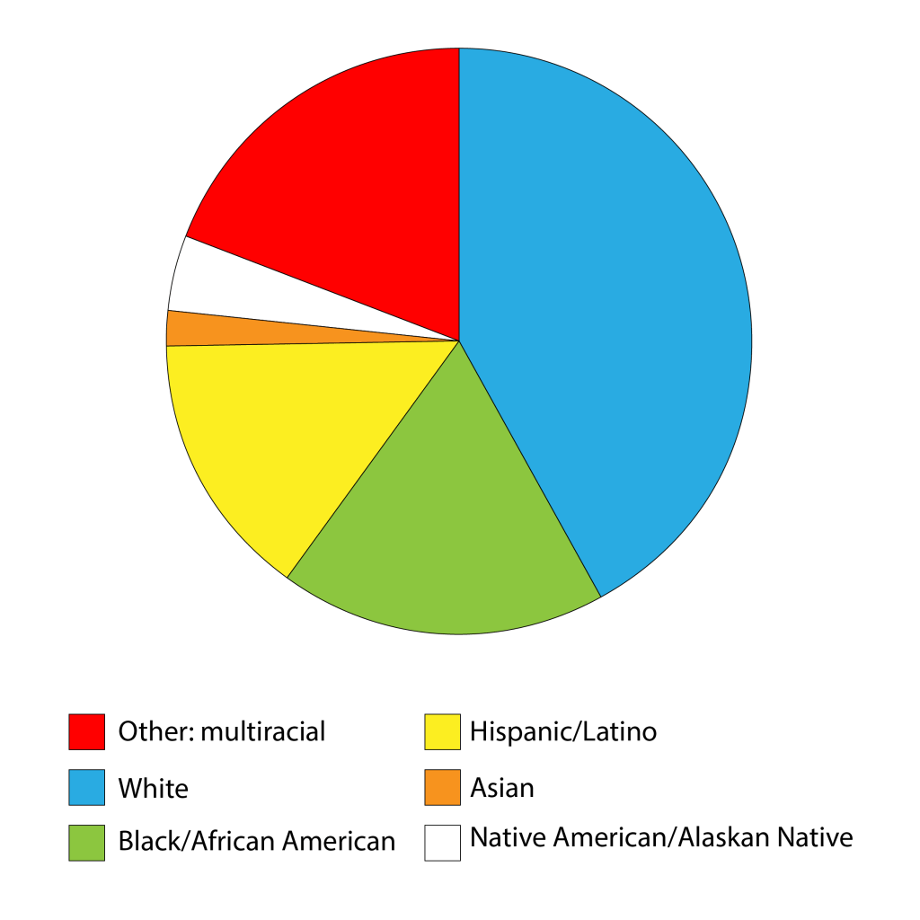 A cross-section of Opportunity Passport™'s recipients. 