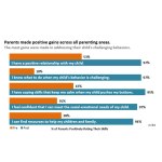 Some communities found great outcomes when they decided to implement Positive Solutions for Families, which empowers parents to implement Pyramid practices at home.