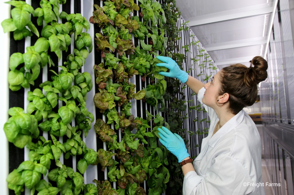 High-tech, cutting-edge indoor farming in one compact package: Freight Farm's The Greenery provides endless opportunities for youth, young adults, and businesses. 