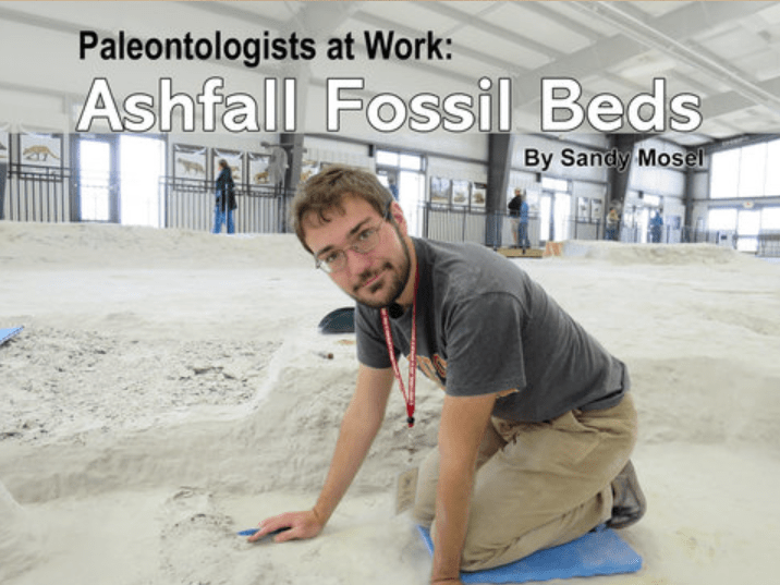 Cover of "Paleontologists at Work: Ashfall Fossil Beds" book by Sandy Mosel